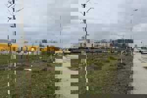 sadnja stabala u Velikoj Gorici (1)