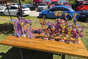 Dan mjesta Turopolje, pehari, medalje