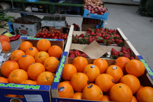 gradska tržnica Velika Gorica, voće (1)