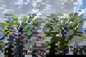 Dan Planeta Zemlje U Velikoj Gorici (8)