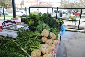gradska tržnica Velika Gorica (2)
