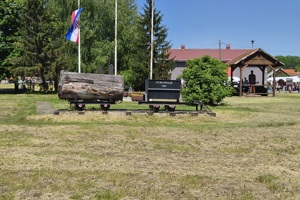 Dan mjesta Turopolje (4)