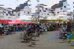 Velika Gorica, plac (1)