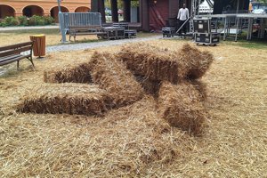 park u Velikoj Gorici (1)